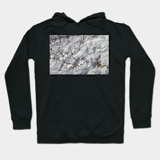 Cold Closeup Hoodie